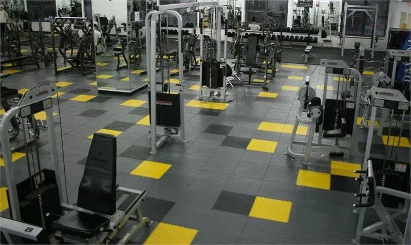 Gyms and fitness centres